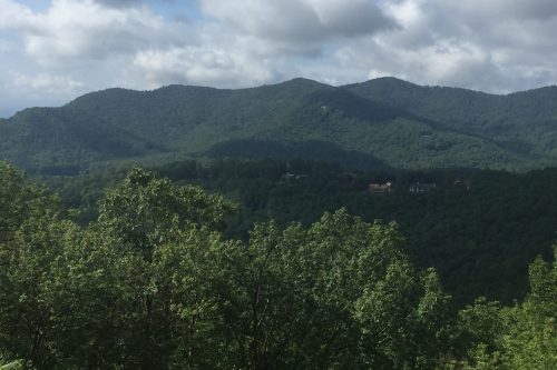 blessed with the gift of parenthood